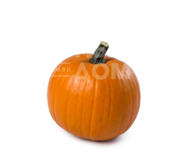 Насіння гарбуза Терафін F1 / Terafin F1  купити оптом і в роздріб в Україні за вигідною ціною