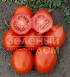 Семена томатов 1807 F1 / 1807 F1,110 дней купить оптом и в розницу в Украине по выгодной цене