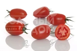 Семена томатов Океано F1 / Okeano F1 купить оптом и в розницу в Украине по выгодной цене