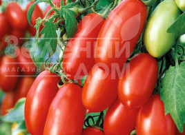Насіння томатів Уліссе F1 / Ulisse F1,65-70 днів купити оптом і в роздріб в Україні за вигідною ціною