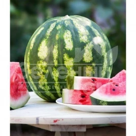 Семена арбуза Кримсон Свит / Crimson Sweet (GRIFFATON) купить оптом и в розницу в Украине по выгодной цене