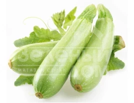 Семена кабачков Эзра F1 / Ezra F1,45 дней купить оптом и в розницу в Украине по выгодной цене