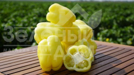 Насіння солодкого перцю Нікіта F1 / Nikita F1,70 днів купити оптом і в роздріб в Україні за вигідною ціною