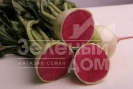 Семена редьки Пинки Мерикол / Pinky Merikol купить оптом и в розницу в Украине по выгодной цене