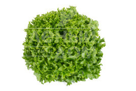 Насіння салату Дюнан / Dunand купити оптом і в роздріб в Україні за вигідною ціною