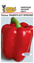 Насіння солодкого перцю Квадрато Асті червоний / Kvadrato Asti, 95 днів купити оптом і в роздріб в Україні за вигідною ціною