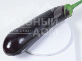 Насіння баклажану КС 4804 F1 / KS 4804 F1,90-100 днів купити оптом і в роздріб в Україні за вигідною ціною