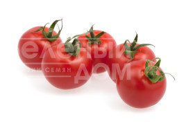 Насіння томатів Сассарі F1 / Sassari F1 купити оптом і в роздріб в Україні за вигідною ціною