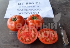 Семена томатов БТ 986 F1 / BT 986 F1,65-70 дней купить оптом и в розницу в Украине по выгодной цене