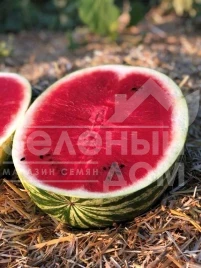 Семена арбуза Балатон F1 / Balaton F1, 60-62 дня купить оптом и в розницу в Украине по выгодной цене