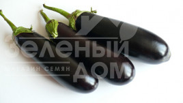 Насіння баклажанів Мірінда F1 / Mirinda F1, 80 днів купити оптом і в роздріб в Україні за вигідною ціною