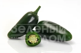 Семена сладкого перца Моджаве F1 / Modzhave F1 купить оптом и в розницу в Украине по выгодной цене