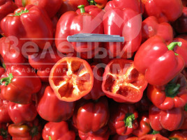 Насіння солодкого перцю Белл F1 / Bell F1,70 днів купити оптом і в роздріб в Україні за вигідною ціною