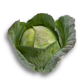 Насіння капусти білокачанної Селма F1 / Selma F1,100-110 днів купити оптом і в роздріб в Україні за вигідною ціною
