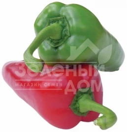 Семена сладкого перца Магус F1 / Magus F1,60 дней купить оптом и в розницу в Украине по выгодной цене