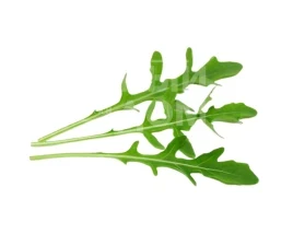 Семена рукколы Етти F1 / Etty F1 купить оптом и в розницу в Украине по выгодной цене