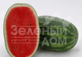 Семена арбуза Паладин F1 / Paladin F1,70-75 дней купить оптом и в розницу в Украине по выгодной цене