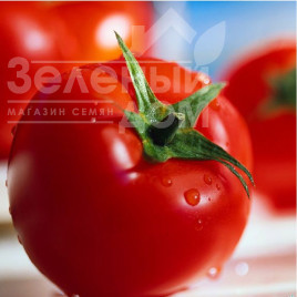 Насіння томатів Волна F1 / Volna F1,75-78 днів купити оптом і в роздріб в Україні за вигідною ціною