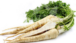 Насіння петрушки Ядран / Jadran купити оптом і в роздріб в Україні за вигідною ціною