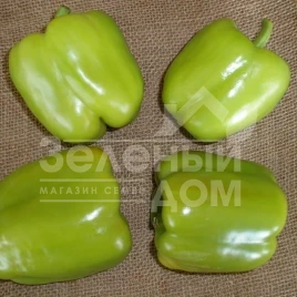 Семена сладкого перца Саския F1 / Saskia F1,60-70 дней купить оптом и в розницу в Украине по выгодной цене