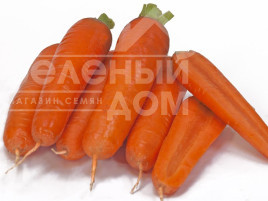 Насіння моркви Кораліна (ТІ - 134) F1  / TI - 134 F1 (Coralina) купити оптом і в роздріб в Україні за вигідною ціною