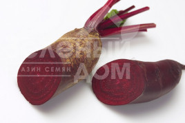 Насіння буряка Карілон / Carillon, 90 днів купити оптом і в роздріб в Україні за вигідною ціною