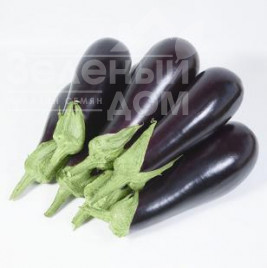 Насіння баклажанів КС 1258  F1 / KS 1258  F1 купити оптом і в роздріб в Україні за вигідною ціною