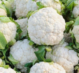 Насіння капусти цвітної Іглу / Igloo купити оптом і в роздріб в Україні за вигідною ціною