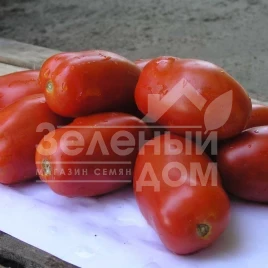Семена томатов Инкас F1 / Incas F1,95-100 дней купить оптом и в розницу в Украине по выгодной цене