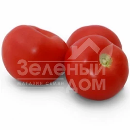 Семена томатов КС 2910 F1 / KS 2910 F1,110-115 дней купить оптом и в розницу в Украине по выгодной цене