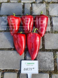 Насіння солодкого перцю Ред Феррарі F1 / Red Ferrari F1 купити оптом і в роздріб в Україні за вигідною ціною