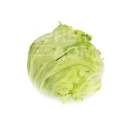 Насіння салату Даянас / Dayanas купити оптом і в роздріб в Україні за вигідною ціною