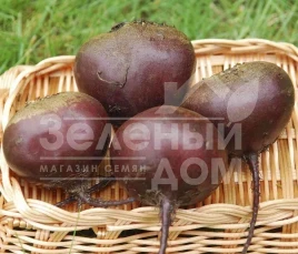 Семена свеклы Ред Бул / Red Bull,100-105 дней купить оптом и в розницу в Украине по выгодной цене