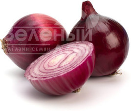 Цибуля ріпчаста Ред Рок F1 / Red Rock F1,110 днів купити оптом і в роздріб в Україні за вигідною ціною