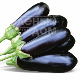 Насіння баклажанів Нарвал F1 / Narval F1,85-95 днів купити оптом і в роздріб в Україні за вигідною ціною