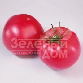 Семена томатов Финли F1 (КС 1205 F1) / Finly F1 (KS 1205 F1),105-115 дней купить оптом и в розницу в Украине по выгодной цене