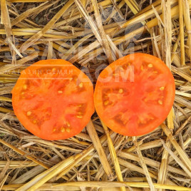 Насіння томатів Солідо F1 / Solido F1,90 днів купити оптом і в роздріб в Україні за вигідною ціною