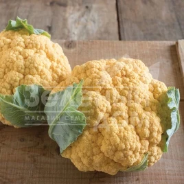 Семена капусты цветной Флейм Стар F1 / Fleym Star F1,75-80 дней купить оптом и в розницу в Украине по выгодной цене