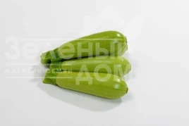 Семена кабачков Хиба F1 / Hiba F1, 32-35 дней купить оптом и в розницу в Украине по выгодной цене