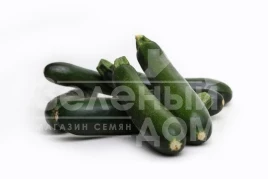 Семена кабачков Рио Негро F1 / Rio Negro F1 купить оптом и в розницу в Украине по выгодной цене