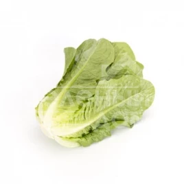 Семена салата Тукадонна / Tuccadona купить оптом и в розницу в Украине по выгодной цене