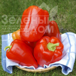 Насіння солодкого перцю Сільвер Бел F1 / Silver Bell F1,110-120 днів купити оптом і в роздріб в Україні за вигідною ціною