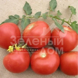 Семена томатов Парто F1 / Parto F1,100-120 дней купить оптом и в розницу в Украине по выгодной цене