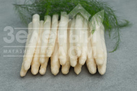 Насіння спаржі Пріус F1 / Prius F1 купити оптом і в роздріб в Україні за вигідною ціною