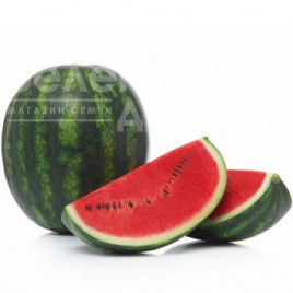 Насіння кавуна Сенсей F1 / Sensei F1,60-65 днів купити оптом і в роздріб в Україні за вигідною ціною