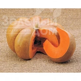 Семена тыквы Мускат де Прованс / Muskat de Provans  купить оптом и в розницу в Украине по выгодной цене