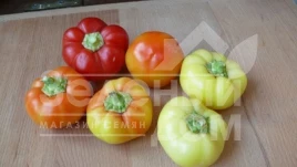 Семена сладкого перца Мела Роса F1 / Mela Rosa F1,60 дней купить оптом и в розницу в Украине по выгодной цене