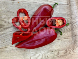 Насіння солодкого перцю Фанат F1 / Fanat F1, 55 днів купити оптом і в роздріб в Україні за вигідною ціною