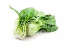 Семена капусты Пак Чой Пакет / Paket,45-55 дней купить оптом и в розницу в Украине по выгодной цене