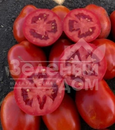 Семена томатов 9985 F1 / 9985 F1, 120 дней купить оптом и в розницу в Украине по выгодной цене